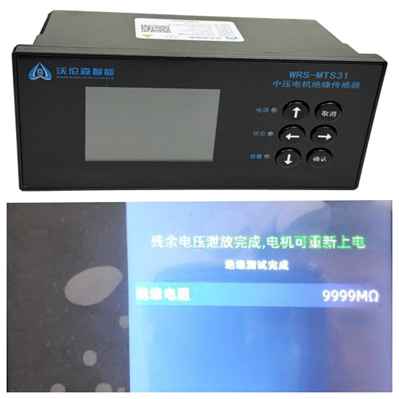 WRS - MTS31 高压电机绝缘监测仪